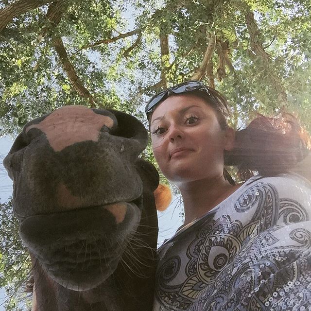 funny horse selfies