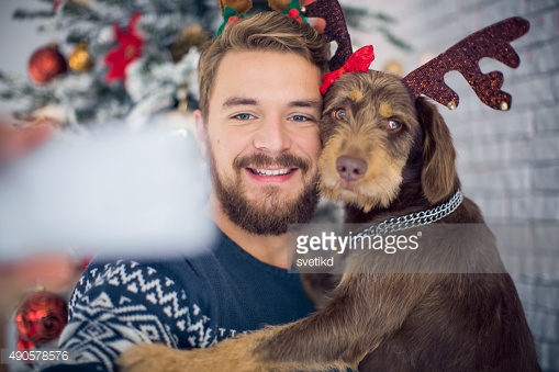 Christmas dog selfie