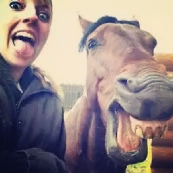 funny horse selfies