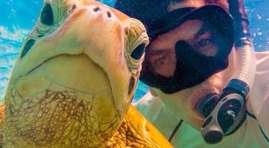 Underwater selfie: secret rules to astonishment