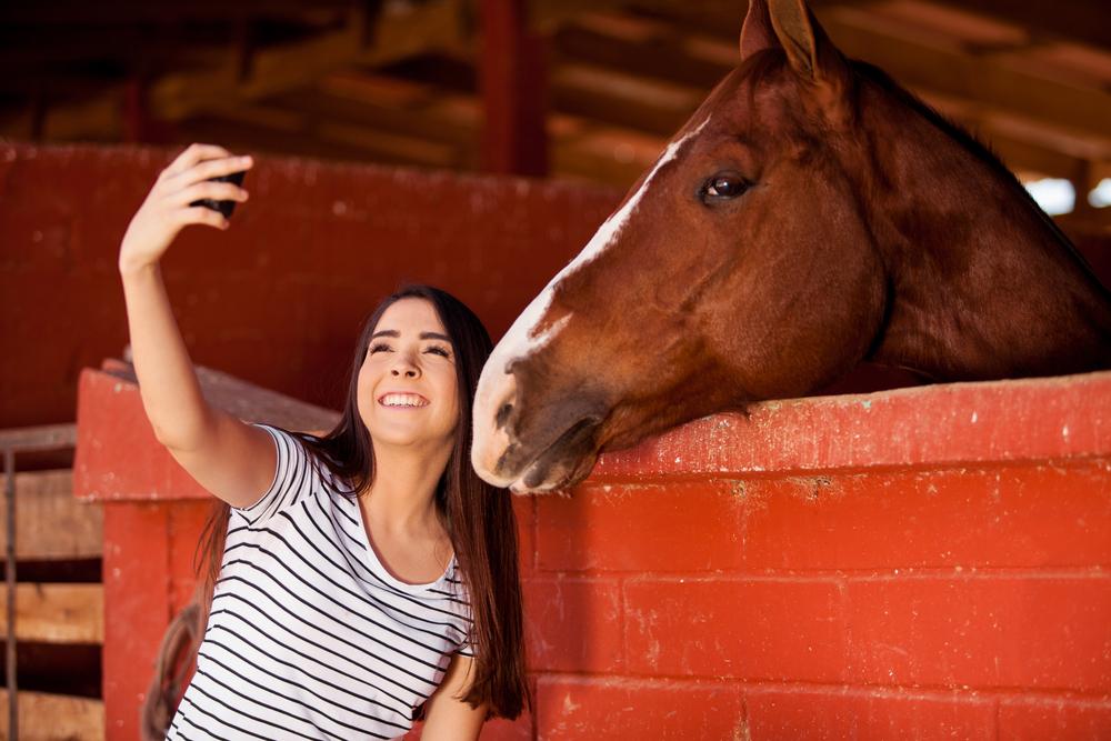 selfie with a horse