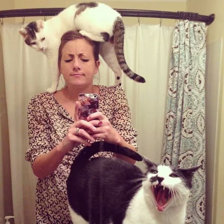 cat screaming while taking a selfie