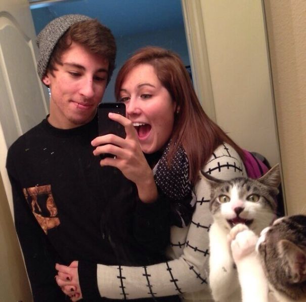 everyone is excited about making a mirror selfie, esp. the cat